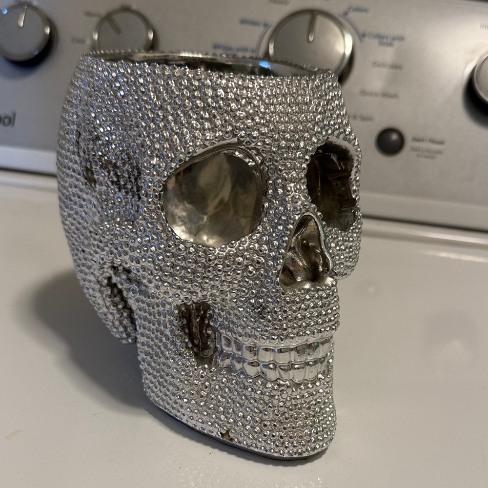 Silver Skull brush holder